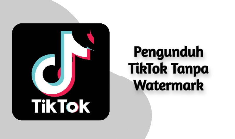 Pengunduh TikTok Tanpa Watermark