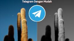 Cara Ubah Foto Hitam Putih Menjadi Berwarna di Telegram Dengan Mudah