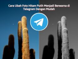 Cara Ubah Foto Hitam Putih Menjadi Berwarna di Telegram Dengan Mudah