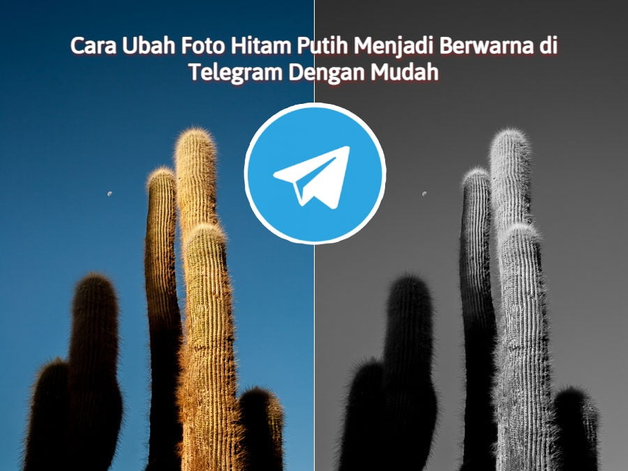 Cara Ubah Foto Hitam Putih Menjadi Berwarna di Telegram Dengan Mudah