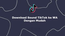 Download Sound TikTok ke WA Dengan Mudah