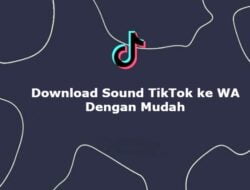 Download Sound TikTok ke WA Dengan 5 Cara Mudah